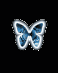 pic for Alien Butterfly